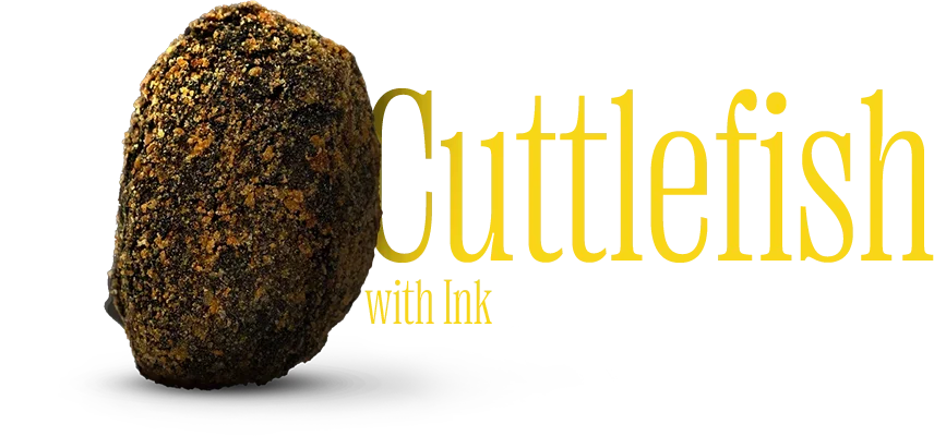 cuttlefish-with-ink-croquette