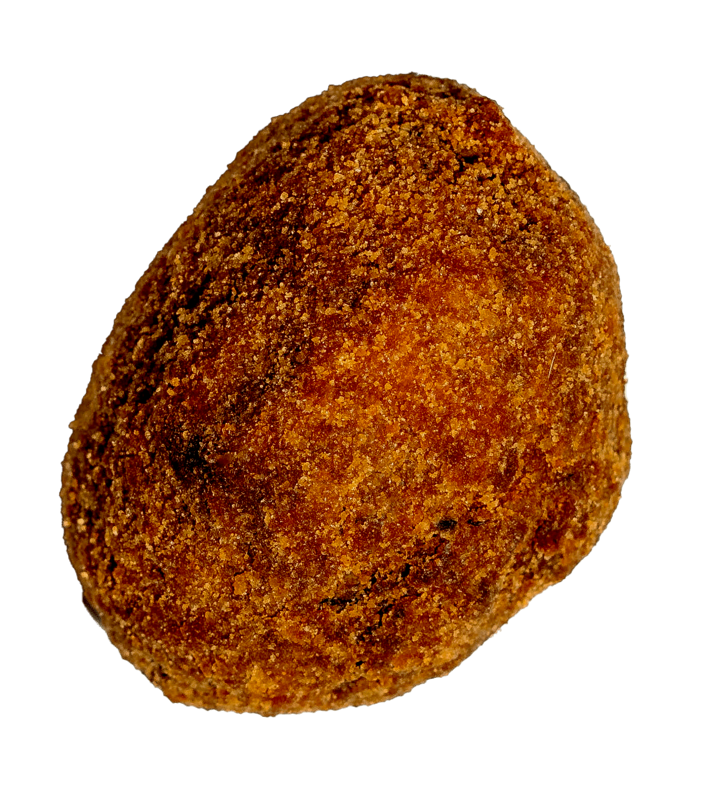 cutCroqueteriaStudioSession_09012024_CAlheira-03118