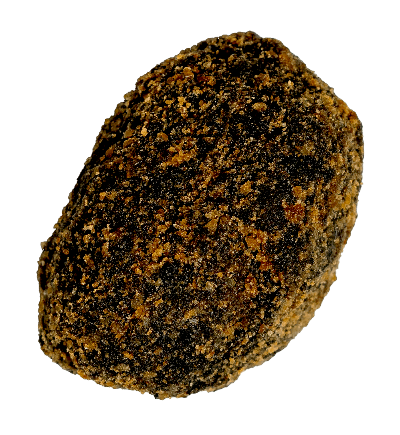 cutCroqueteriaStudioSession_09012024_CChoco-03133