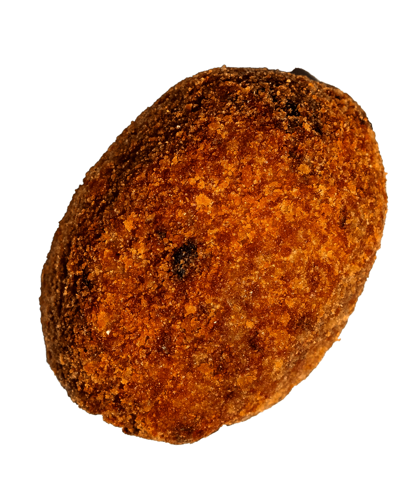 cutCroqueteriaStudioSession_09012024_CPato-03124