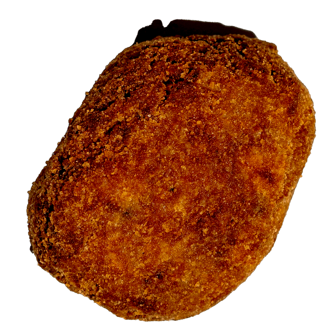 cut_croqueteriaStudioSession_09012024_CCozido-03112